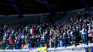 desio sfa05855 copia